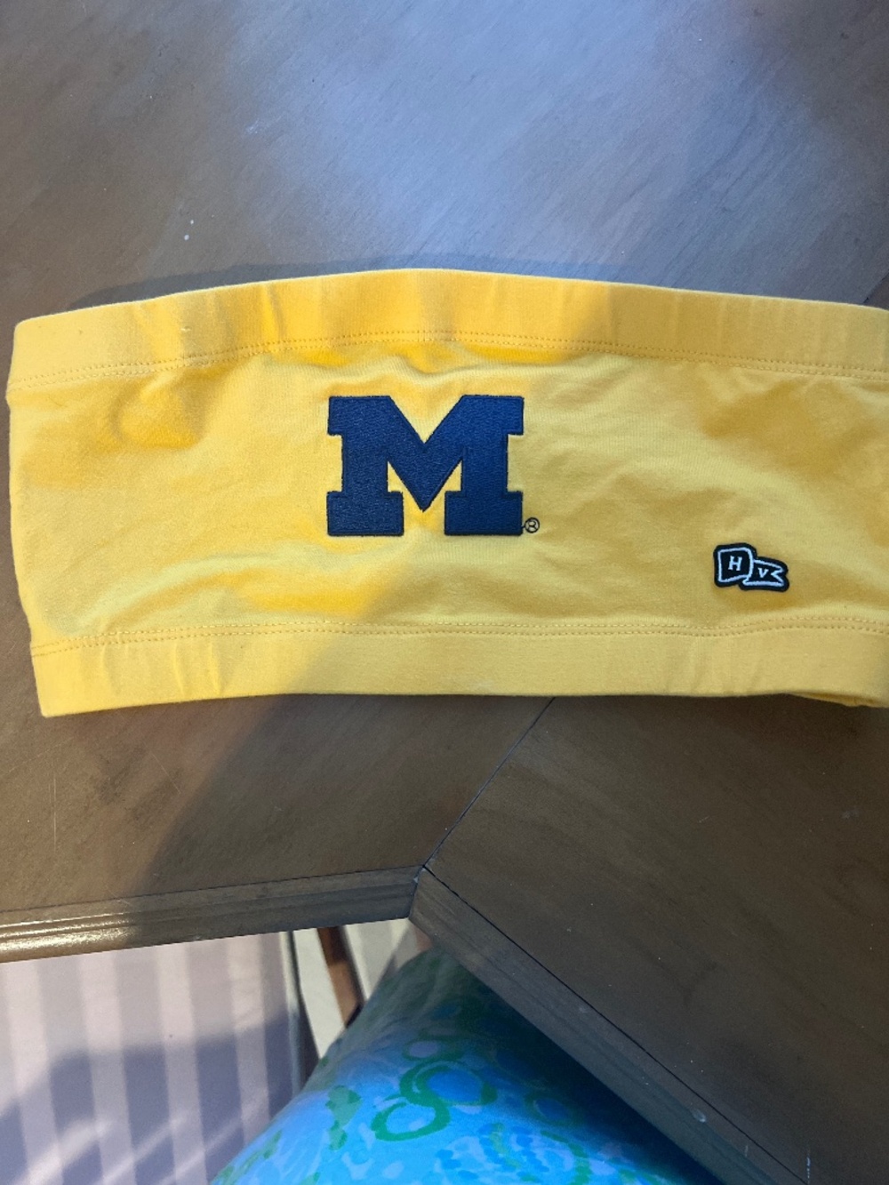 Hype and Vice UMich tube top